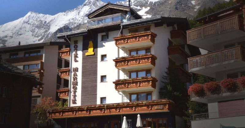 Marmotte