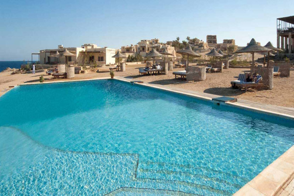 The Oasis