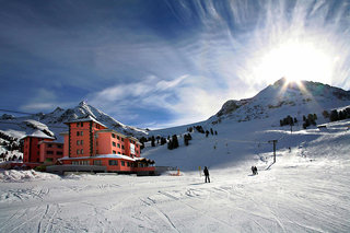 Alpenrose