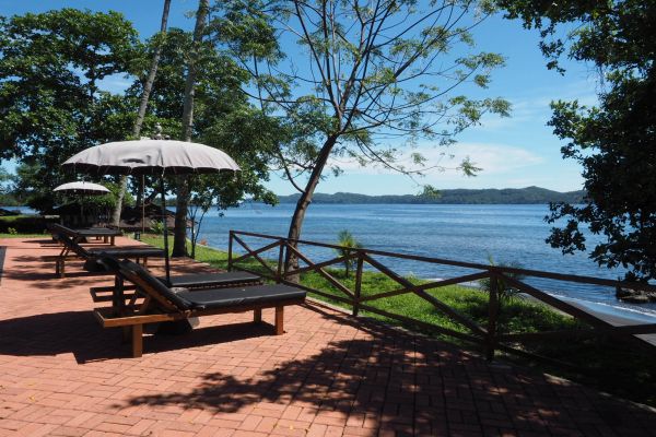 Dive into Lembeh