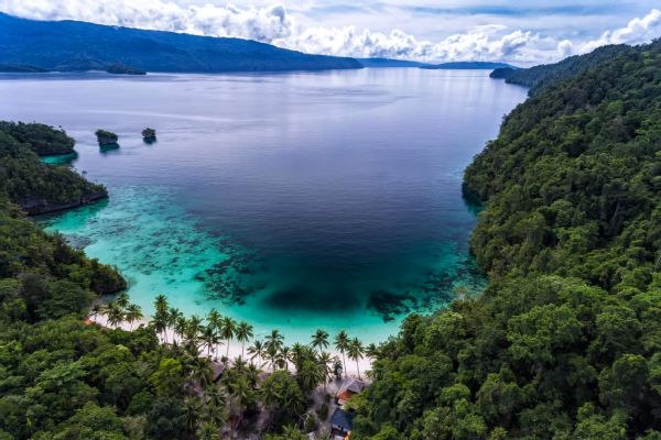 Triton Bay Divers Resort