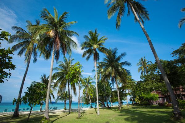 Koh Hai Fantasy Resort