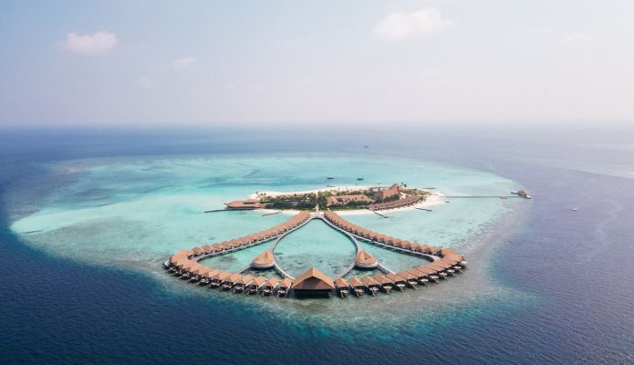 Cinnamon Velifushi